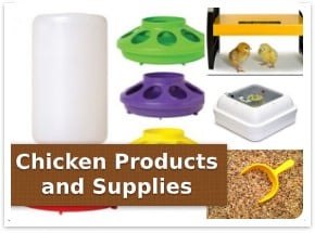 Chicken supplies